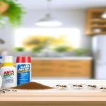 Co na mrówki w domu: Skuteczne metody eliminacji